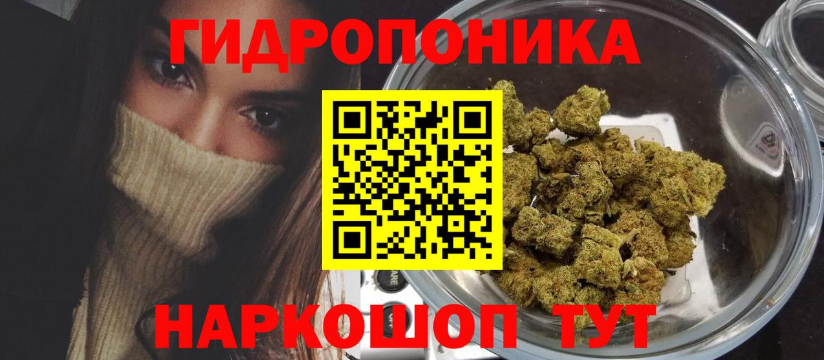 Каннабис план Архангельск